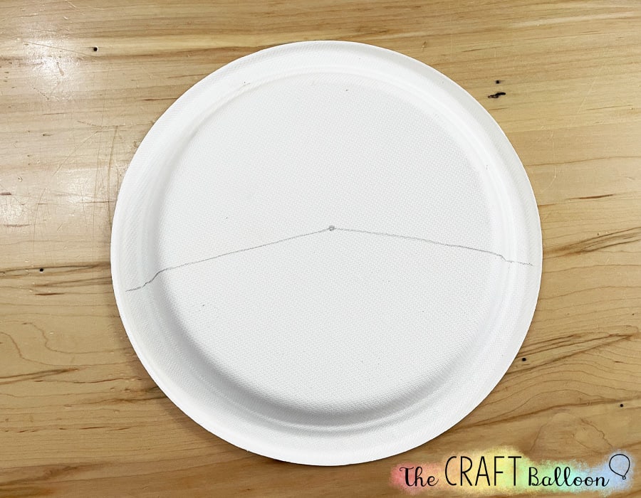 paper plate divided into two sections